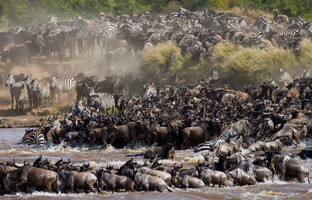 10 Days Safari Tarangire Lake, Naton Lake, Eyasi, Olduvai Gorge, Serengeti & Ngorongoro