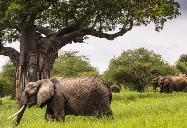 3-day-safary-budget-02-day