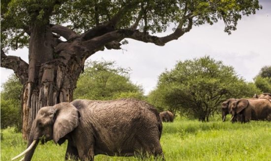 3-day-safary-budget-02-day