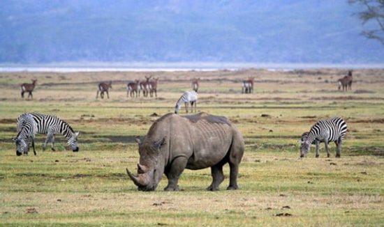 3-day-safary-budget-03-day-1