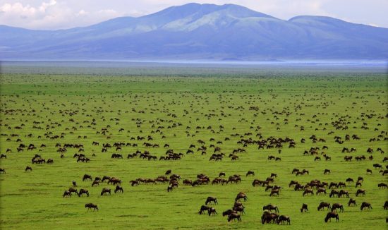serengeti-national-park